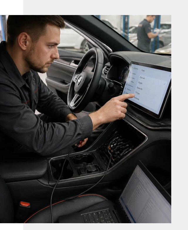 Профессиональная русификация BYD SONG Plus в Новоалтайске